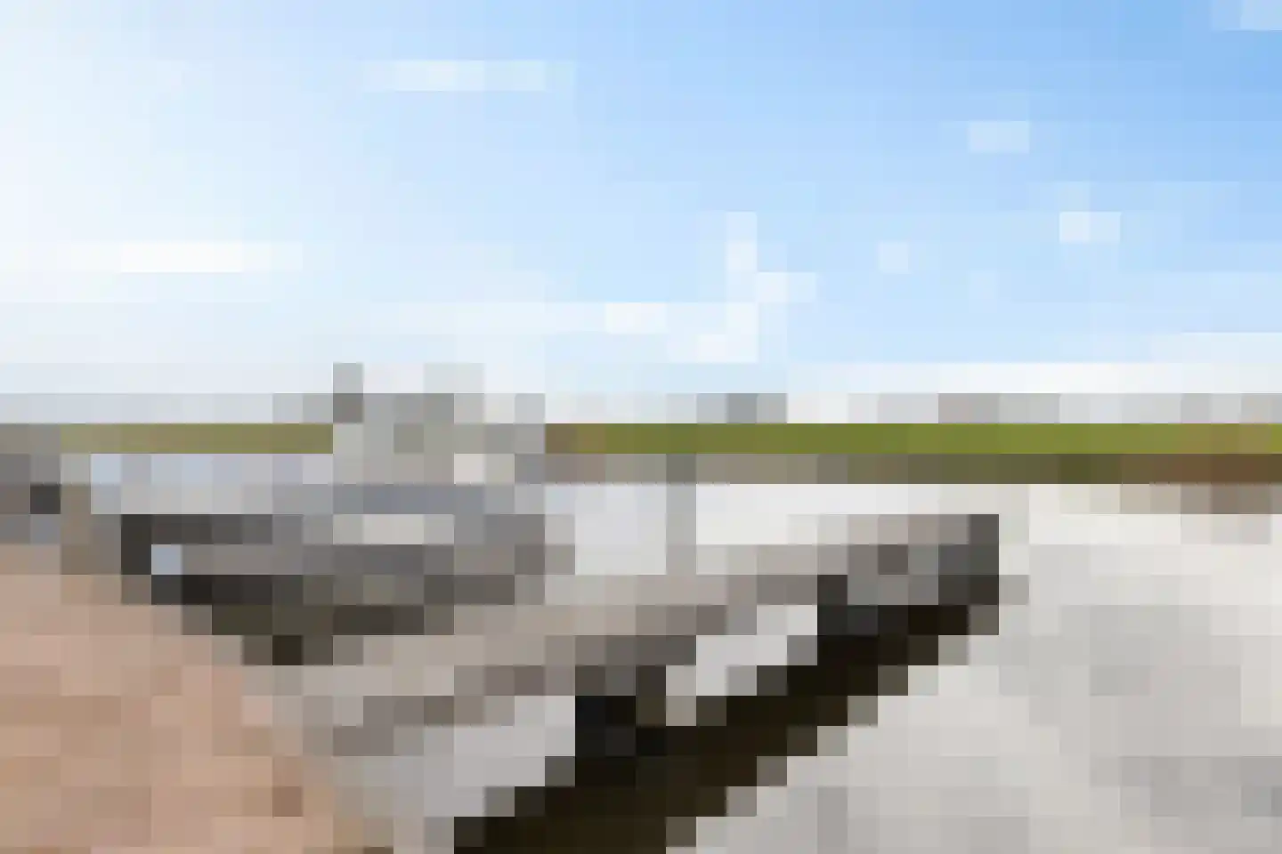 Apollovlinder 48 Sneek thumbnail 38