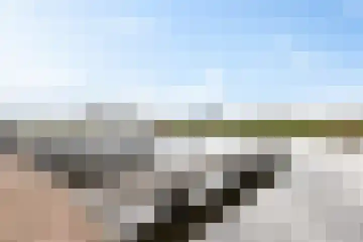 Apollovlinder 48 Sneek thumbnail 38