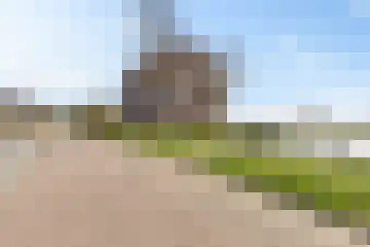 Apollovlinder 48 Sneek thumbnail 39