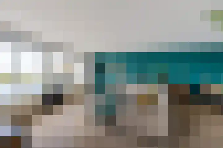 Apollovlinder 48 Sneek thumbnail 4