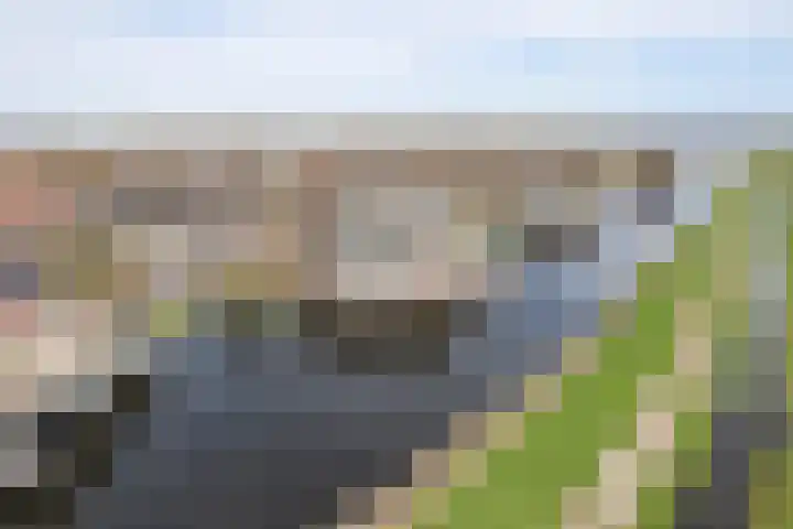 Apollovlinder 48 Sneek thumbnail 44