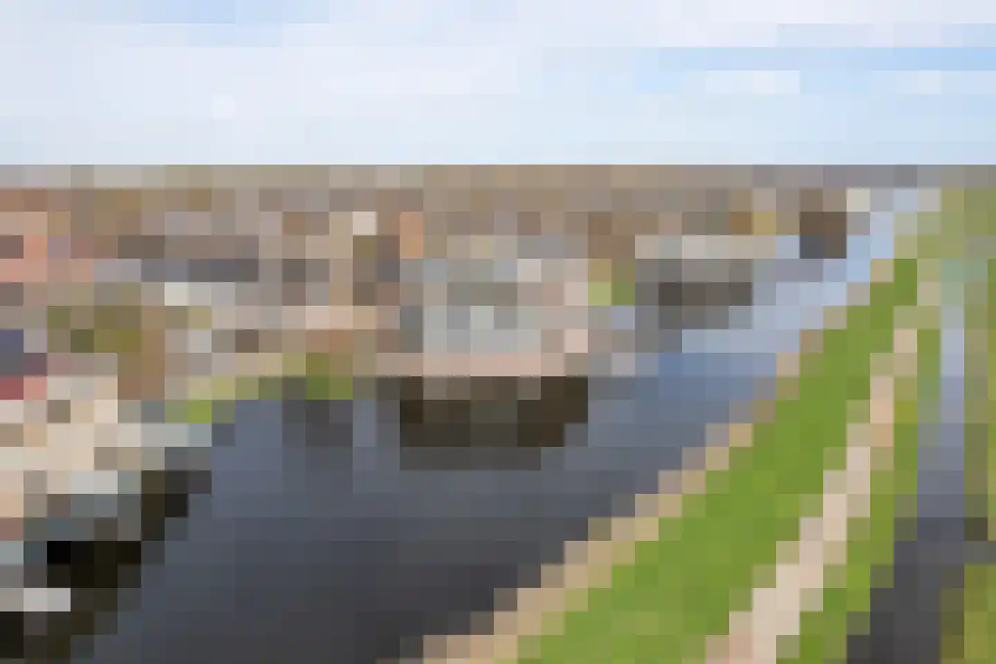 Apollovlinder 48 Sneek thumbnail 44