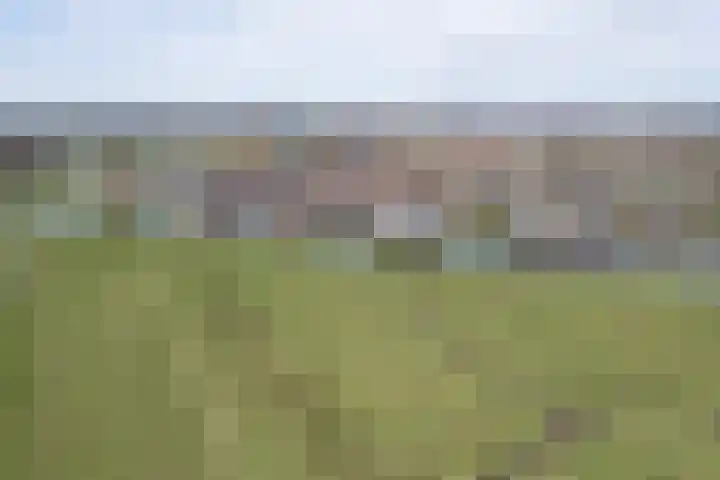 Apollovlinder 48 Sneek thumbnail 46