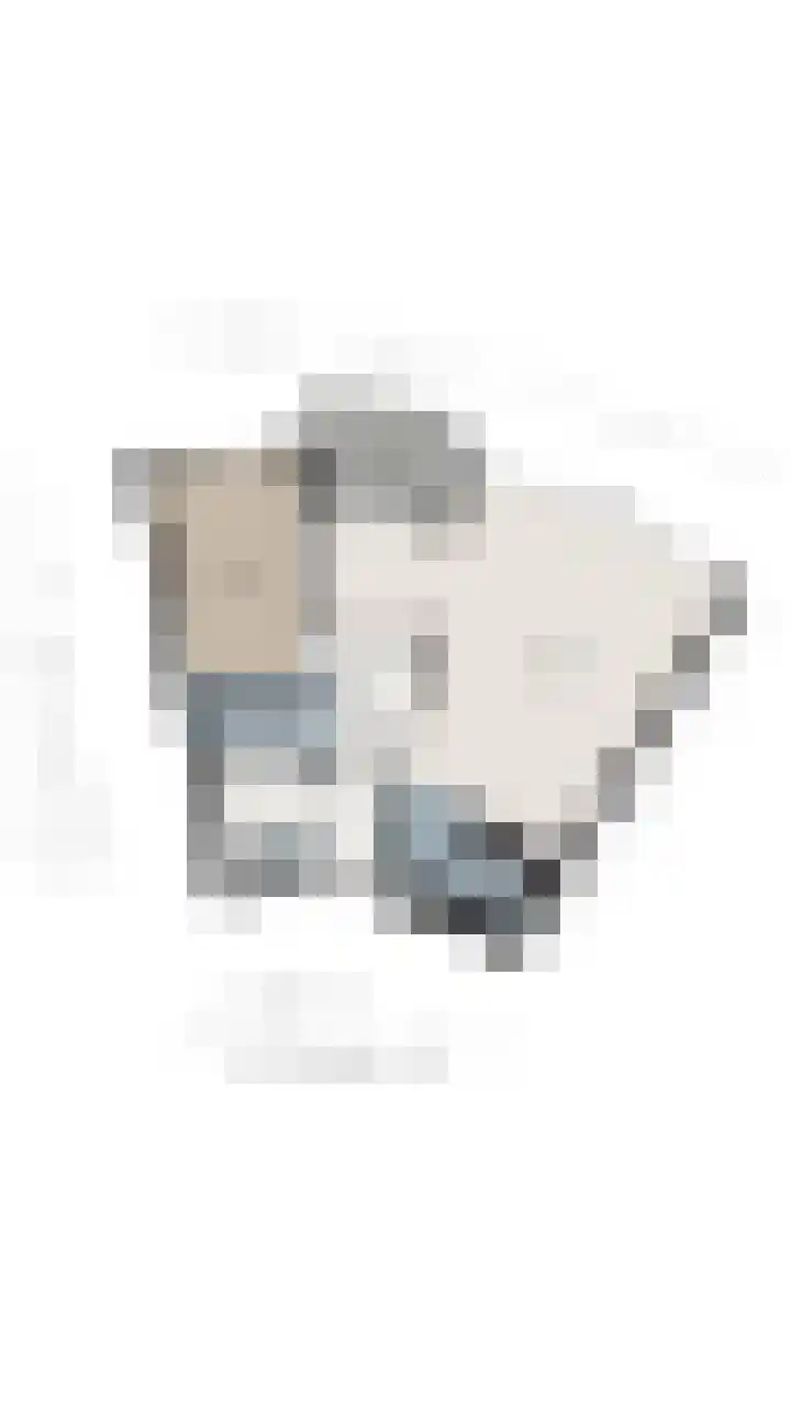 Apollovlinder 48 Sneek thumbnail 52