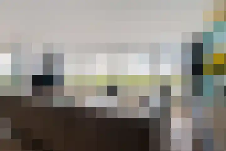 Apollovlinder 48 Sneek thumbnail 6