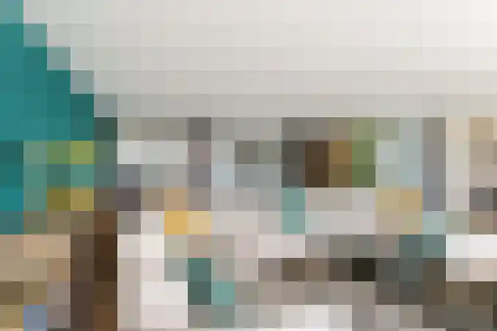 Apollovlinder 48 Sneek thumbnail 8