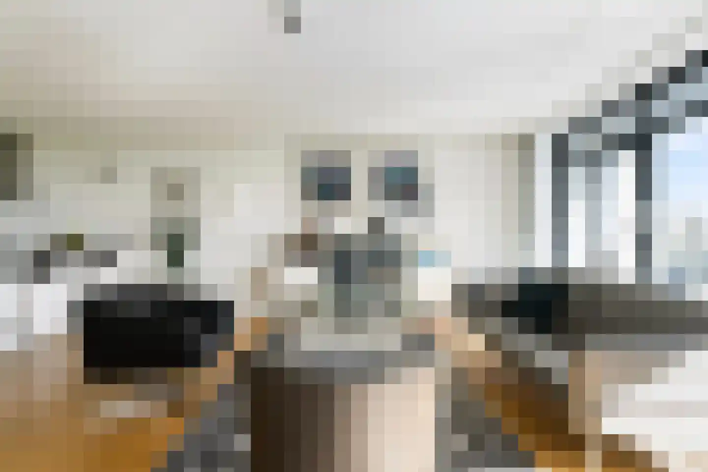 Apollovlinder 58 Sneek thumbnail 10