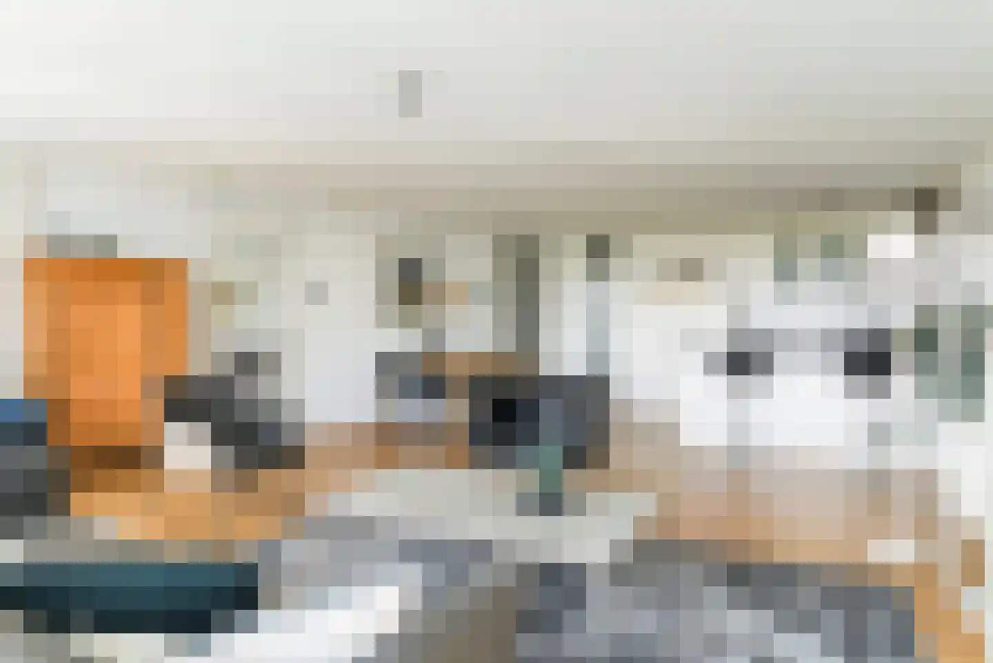 Apollovlinder 58 Sneek thumbnail 13