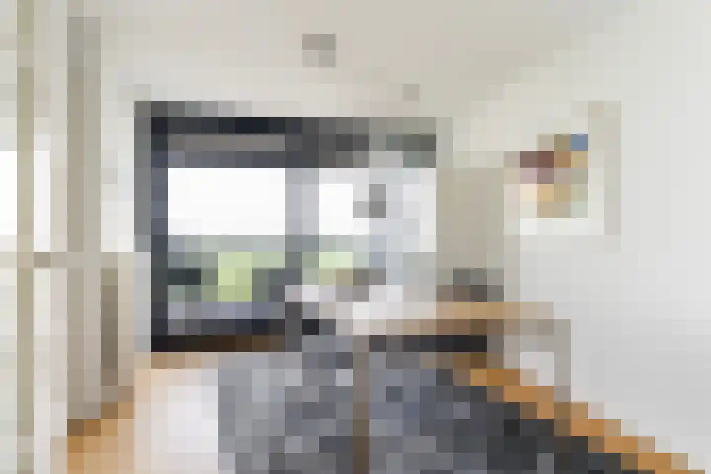 Apollovlinder 58 Sneek thumbnail 22