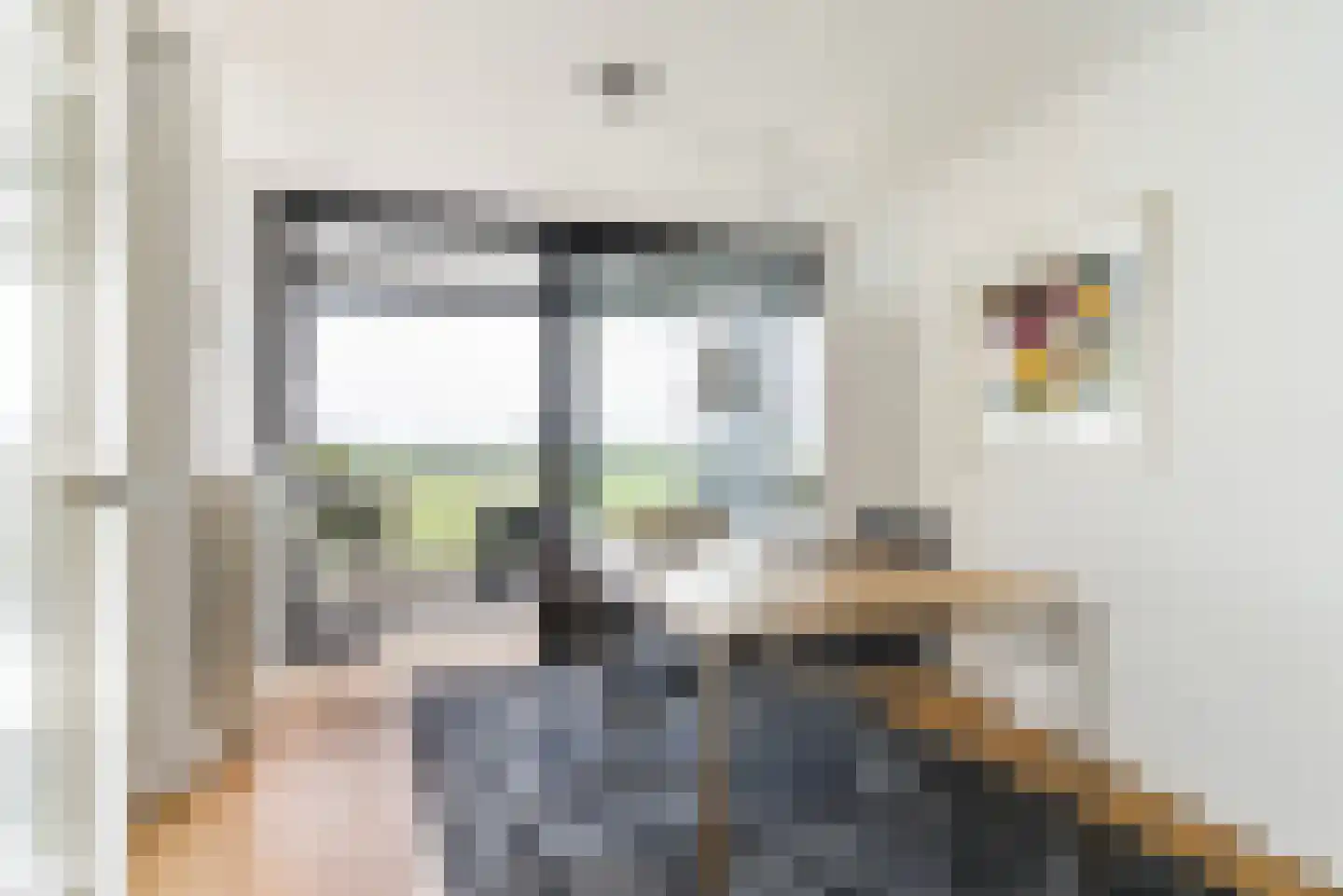 Apollovlinder 58 Sneek thumbnail 23