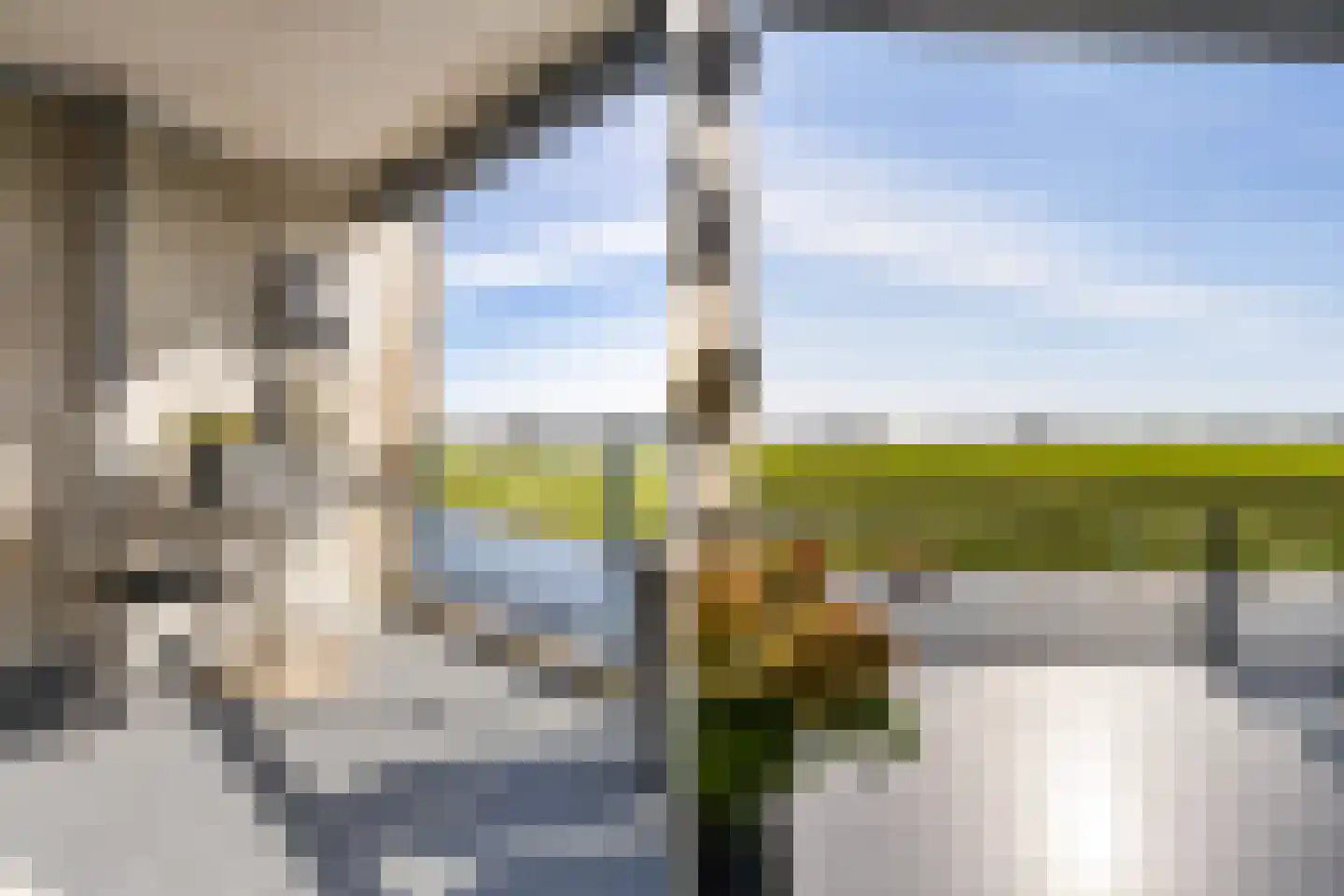 Apollovlinder 58 Sneek thumbnail 27