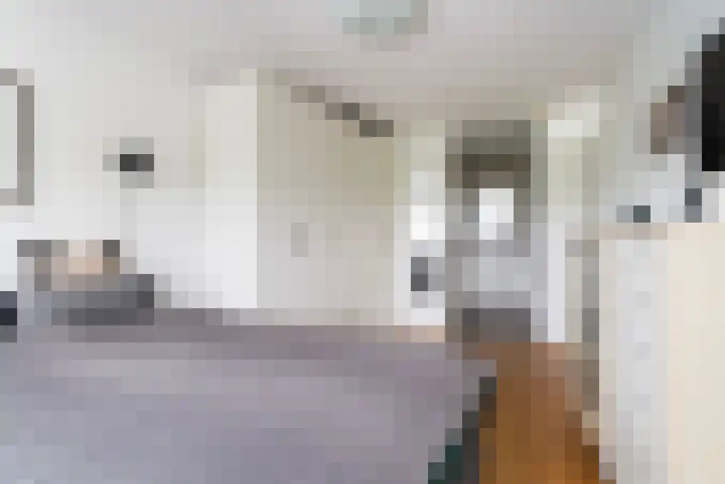 Apollovlinder 58 Sneek thumbnail 37