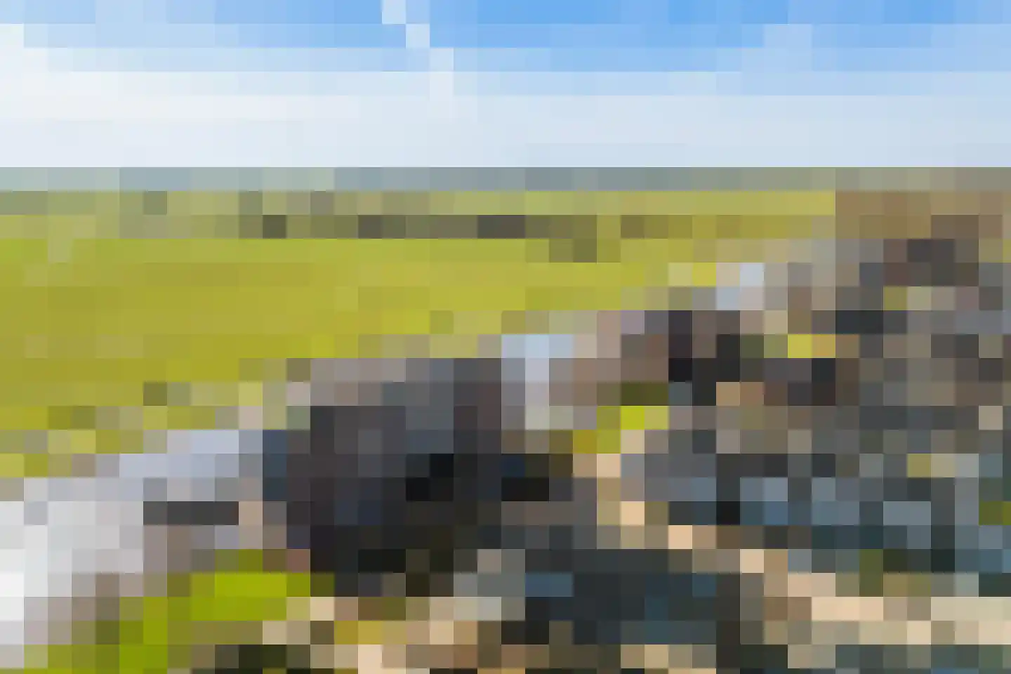 Apollovlinder 58 Sneek thumbnail 44