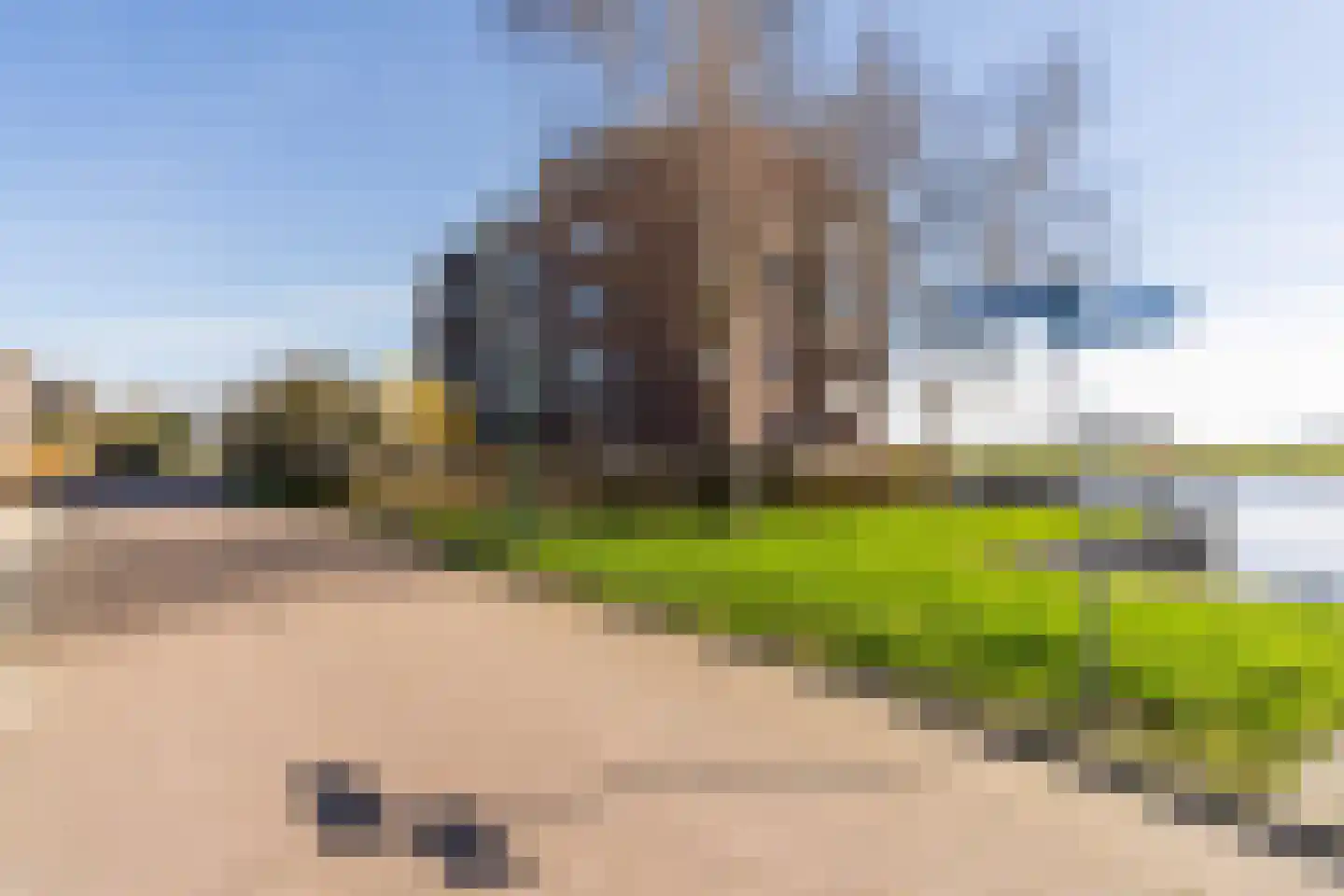 Apollovlinder 58 Sneek thumbnail 50