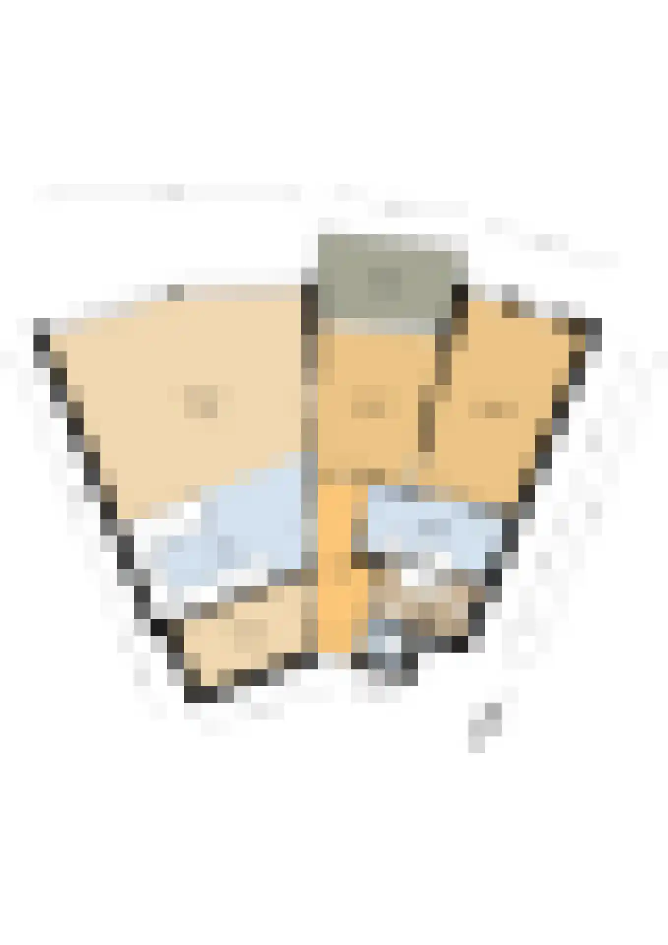 Apollovlinder 58 Sneek thumbnail 58