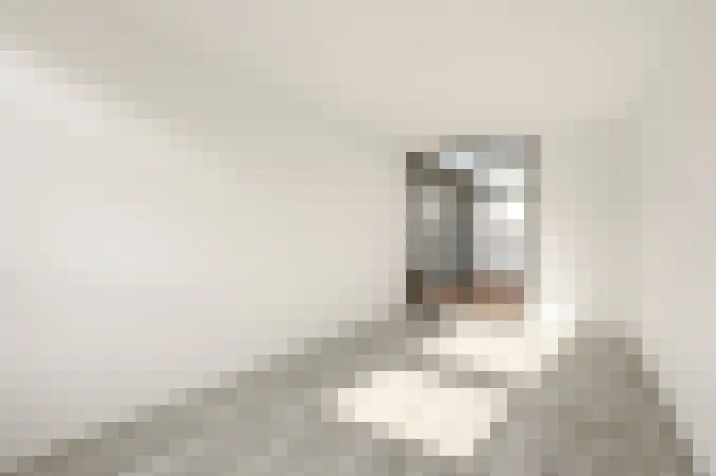 Apollovlinder 9 Diemen thumbnail 18