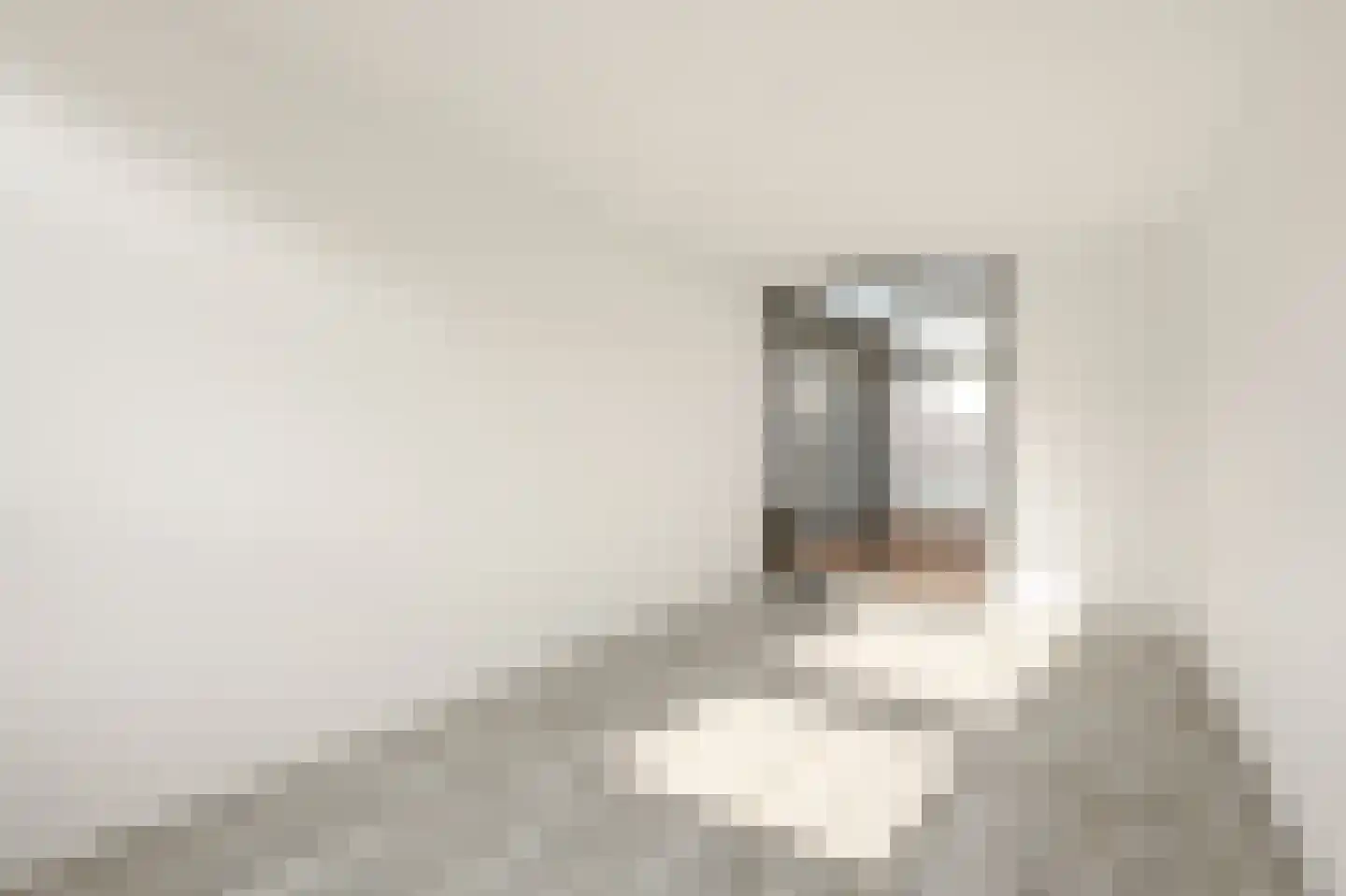 Apollovlinder 9 Diemen thumbnail 19