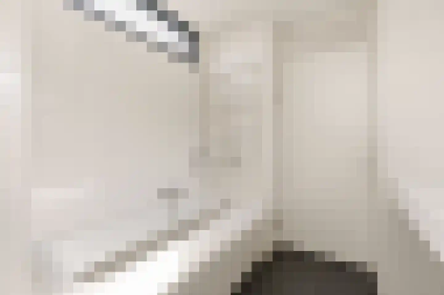 Apollovlinder 9 Diemen thumbnail 22