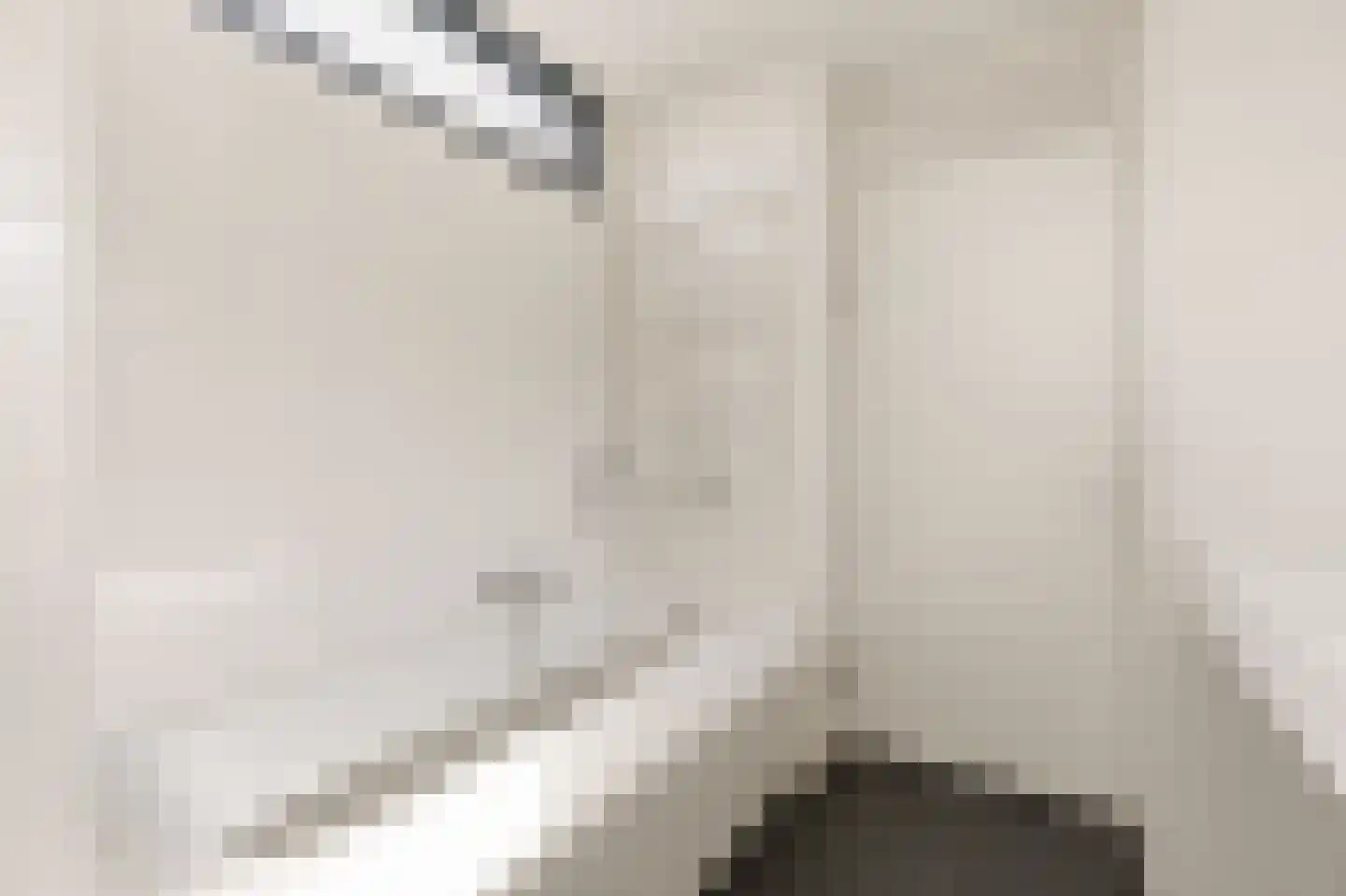 Apollovlinder 9 Diemen thumbnail 23