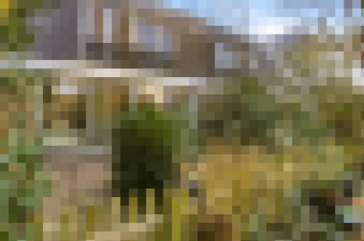 Apollovlinder 9 Diemen thumbnail 28