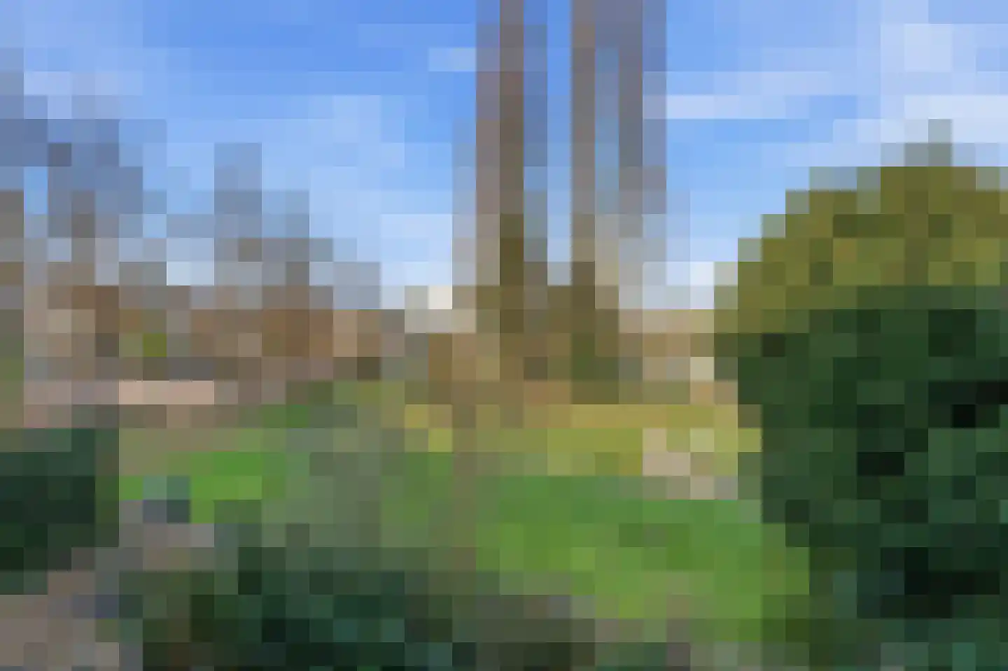 Apollovlinder 9 Diemen thumbnail 29