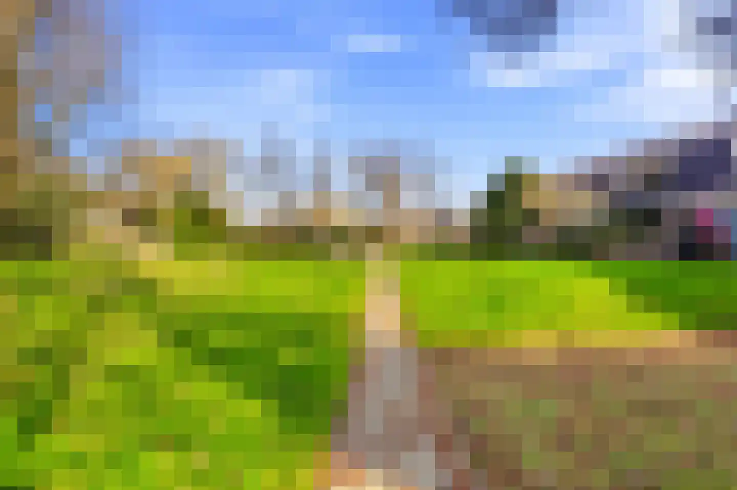 Apollovlinder 9 Diemen thumbnail 30