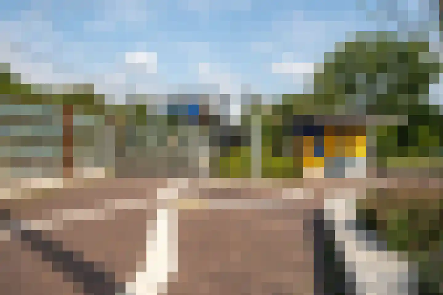 Apollovlinder 9 Diemen thumbnail 32