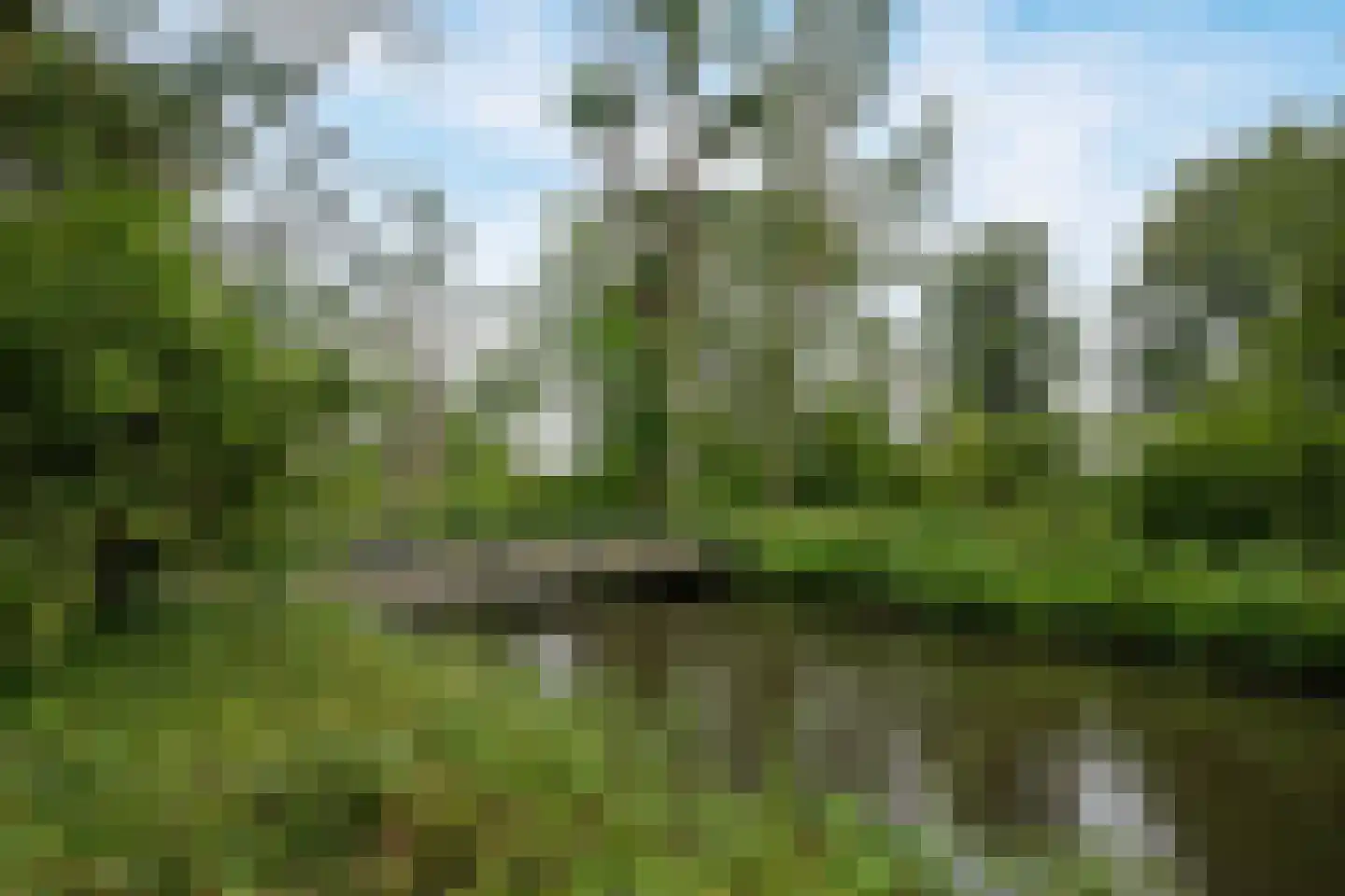 Apollovlinder 9 Diemen thumbnail 36