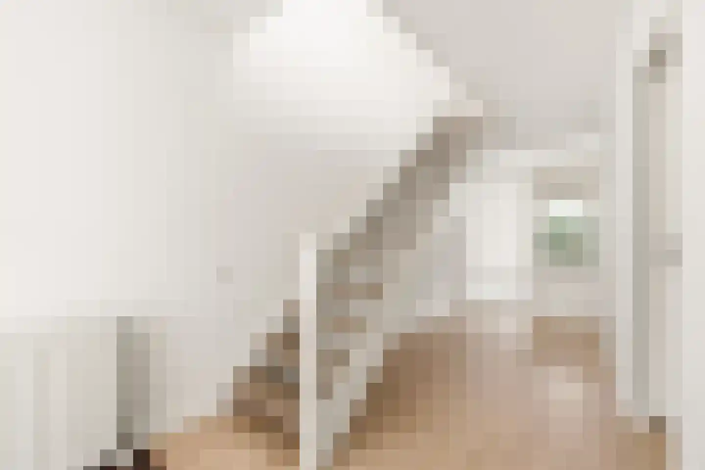 Apollovlinder 9 Diemen thumbnail 6