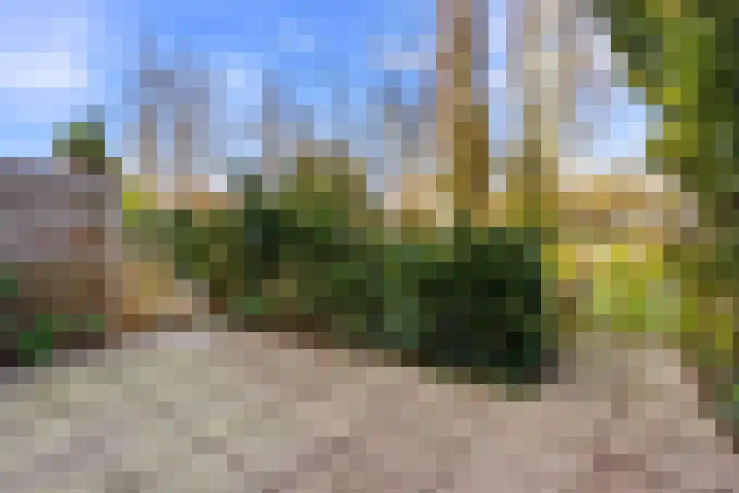 Apollovlinder 9 Diemen thumbnail 8