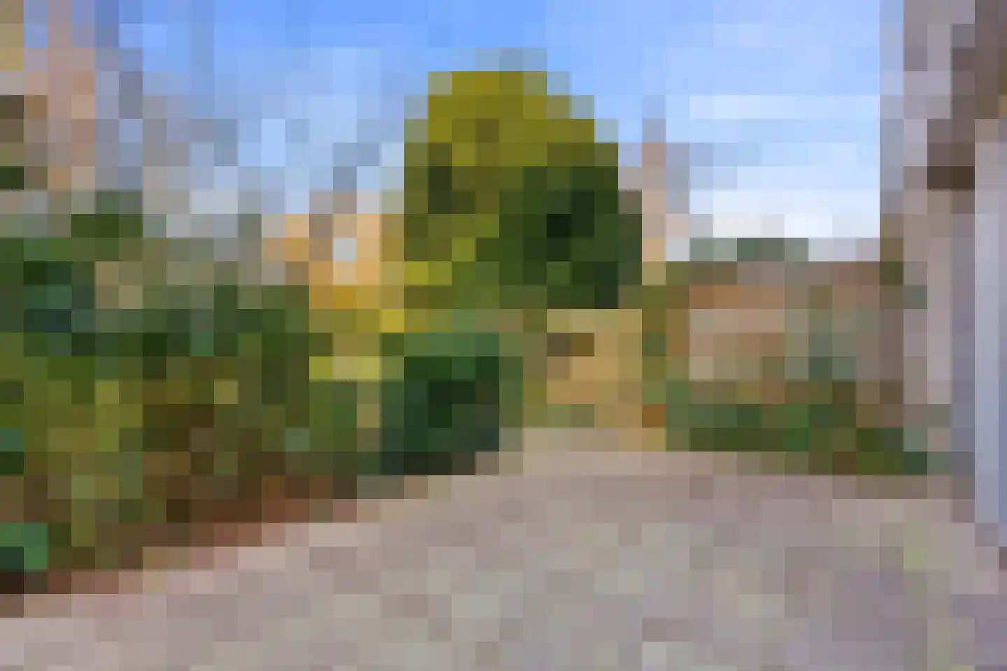 Apollovlinder 9 Diemen thumbnail 9