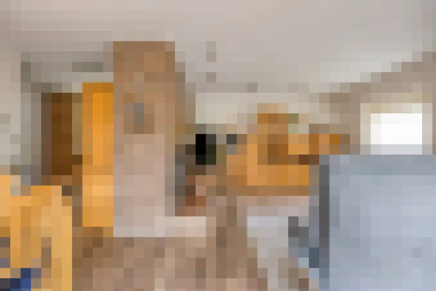 Apollovlinderlaan 19 Eindhoven thumbnail 15