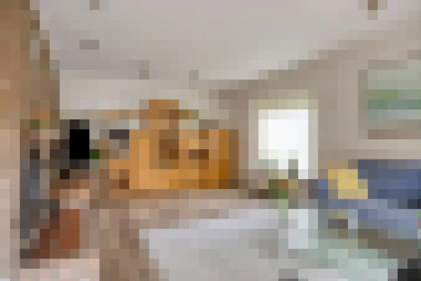 Apollovlinderlaan 19 Eindhoven thumbnail 16