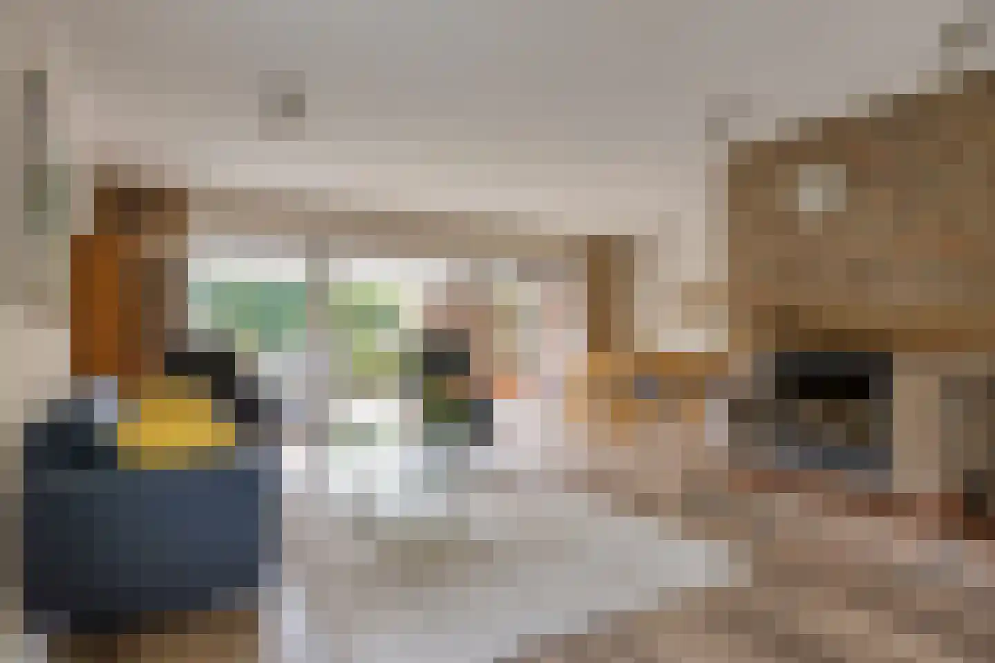 Apollovlinderlaan 19 Eindhoven thumbnail 18