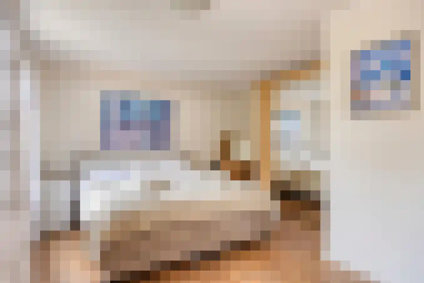 Apollovlinderlaan 19 Eindhoven thumbnail 27