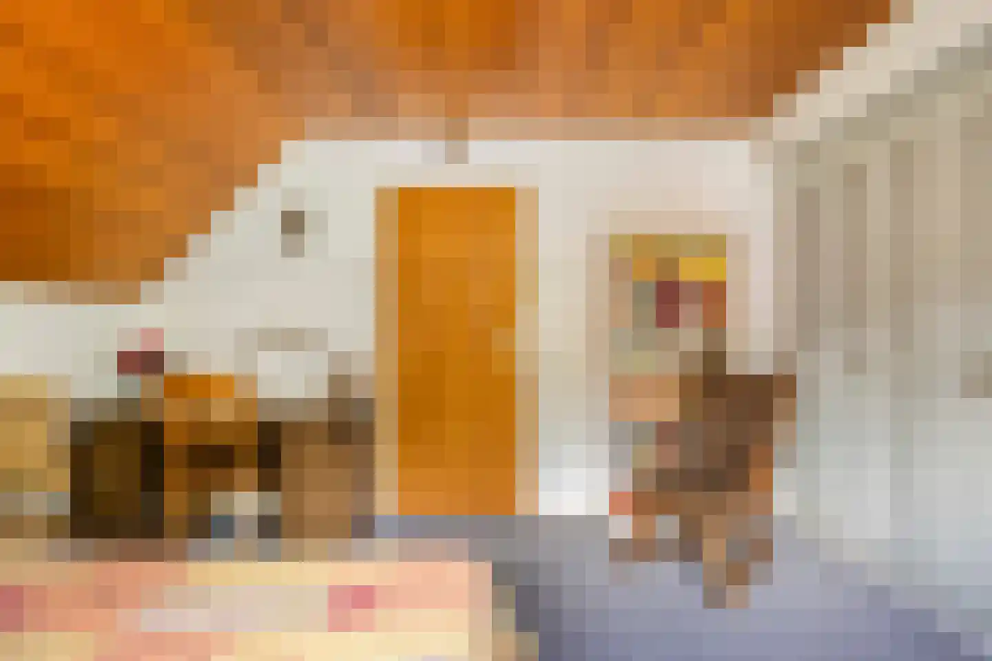 Apollovlinderlaan 19 Eindhoven thumbnail 34