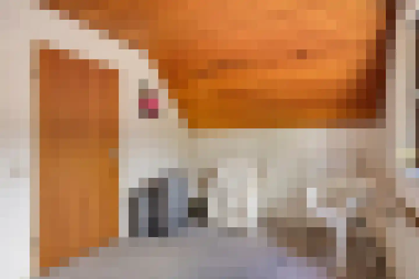 Apollovlinderlaan 19 Eindhoven thumbnail 40