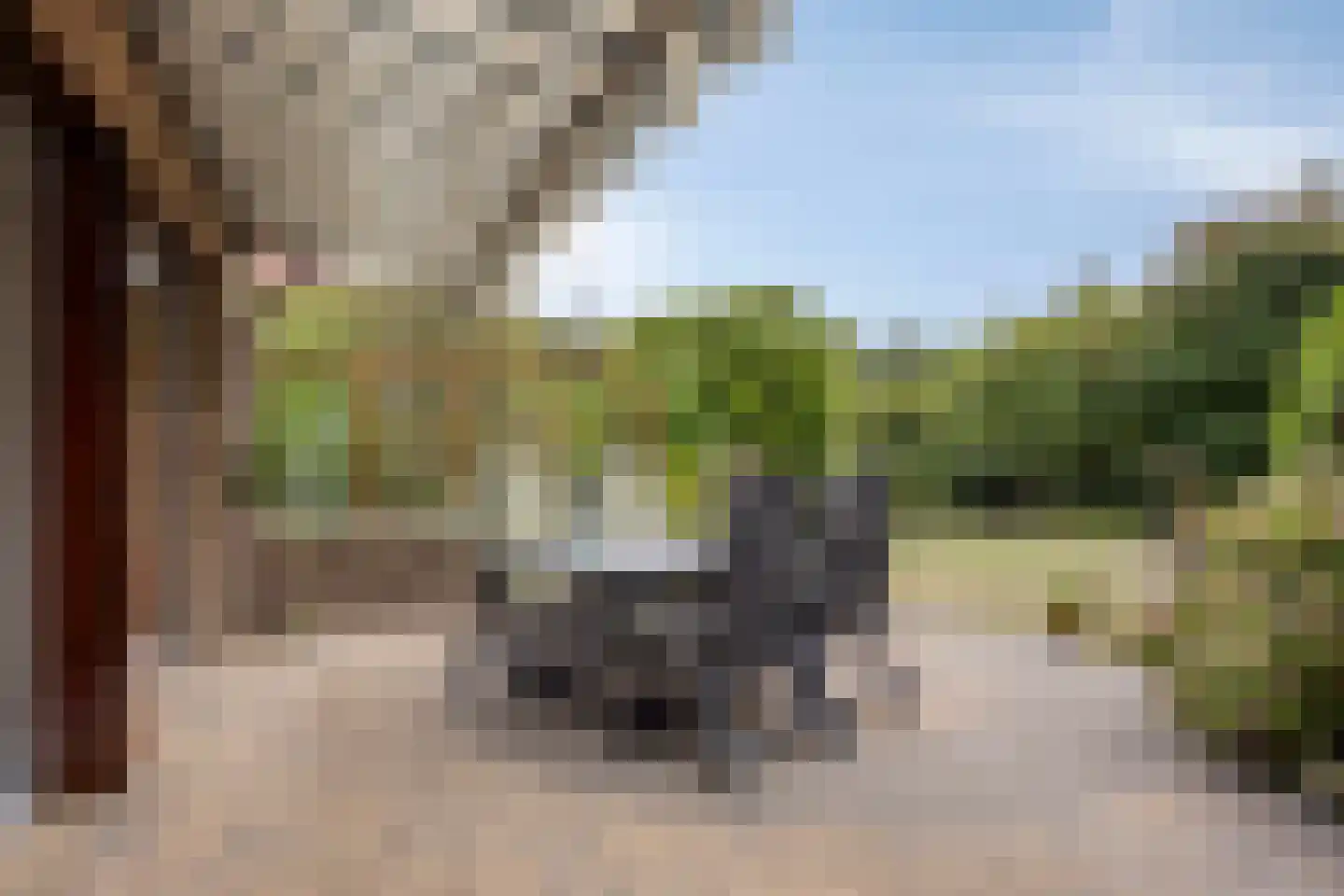 Apollovlinderlaan 19 Eindhoven thumbnail 43
