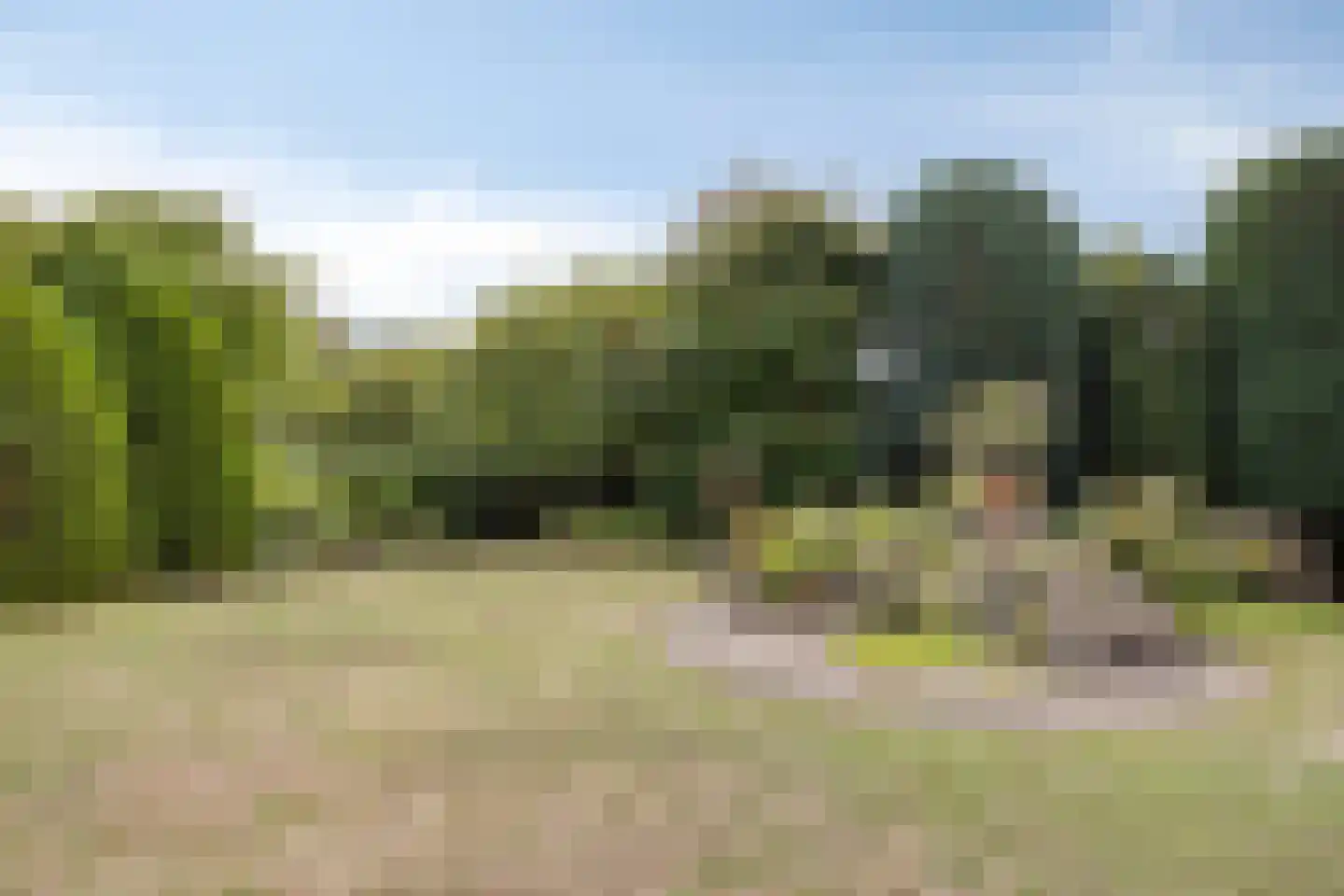 Apollovlinderlaan 19 Eindhoven thumbnail 44