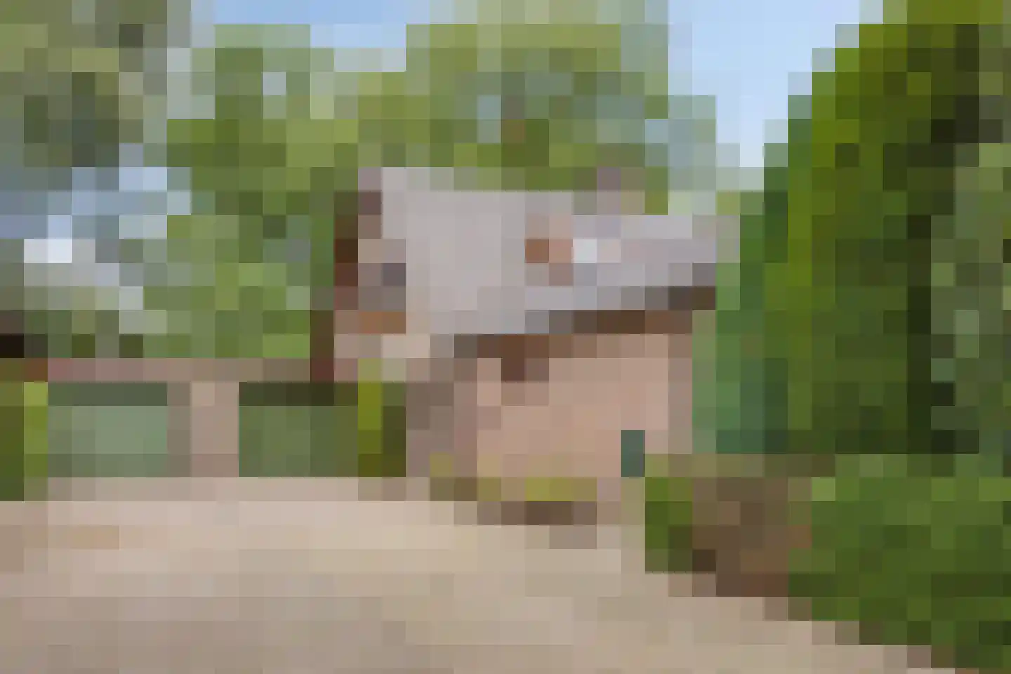Apollovlinderlaan 19 Eindhoven thumbnail 7