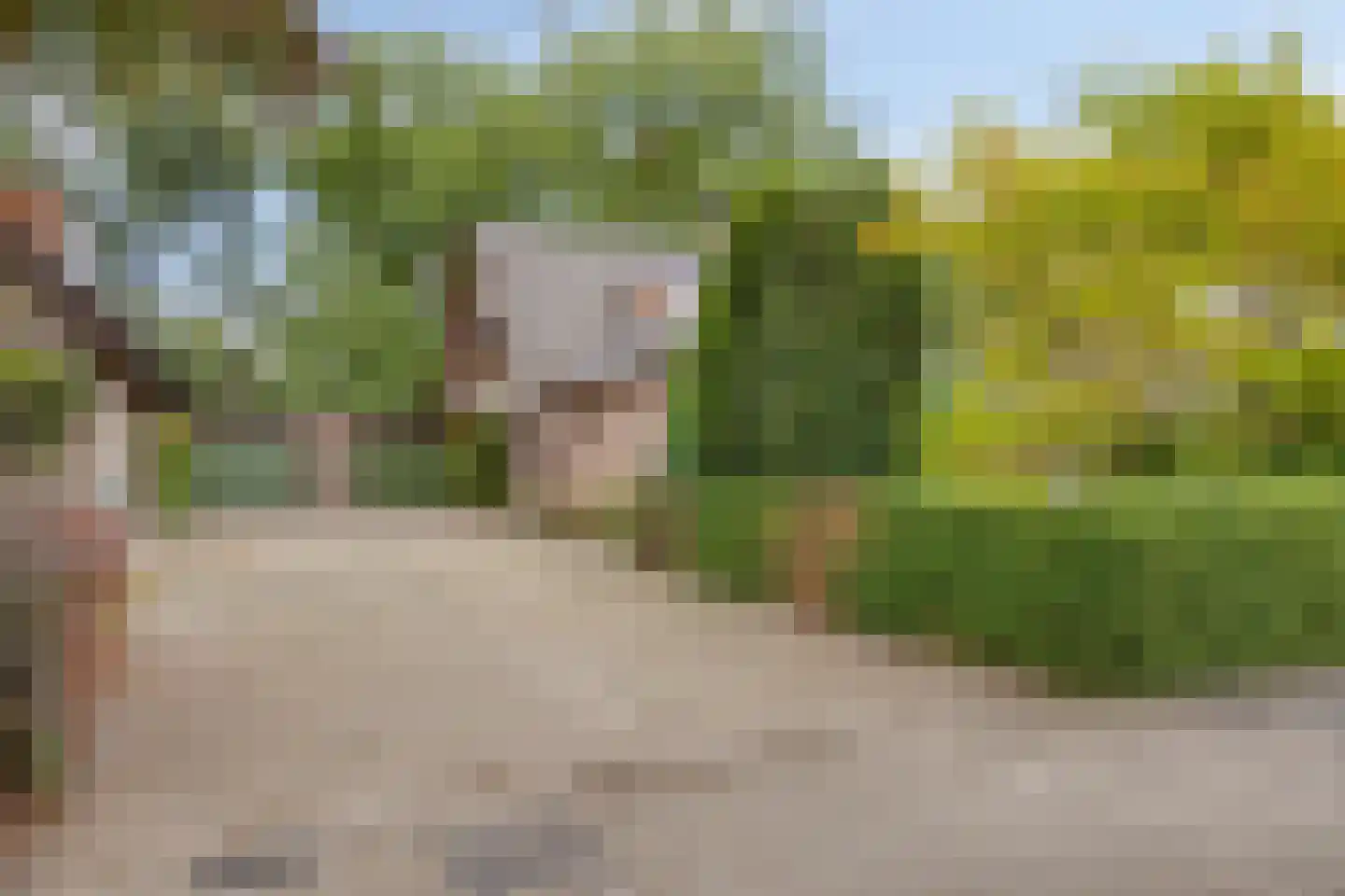 Apollovlinderlaan 19 Eindhoven thumbnail 8
