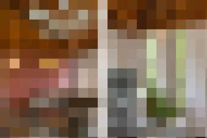 Apollovlinderlaan 27 Eindhoven thumbnail 15