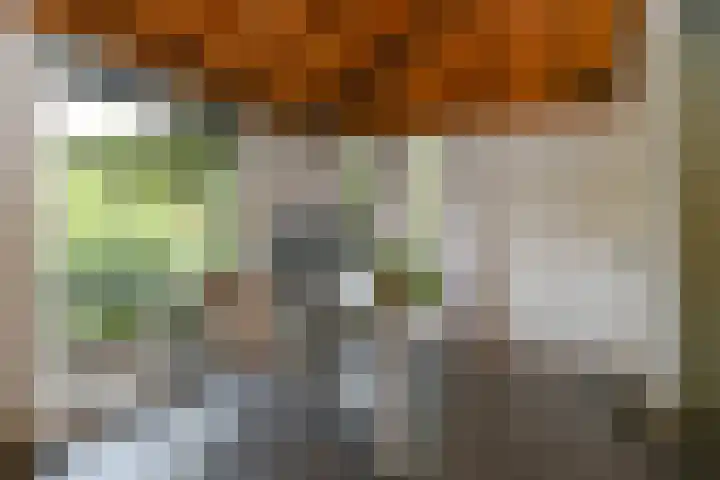 Apollovlinderlaan 27 Eindhoven thumbnail 16