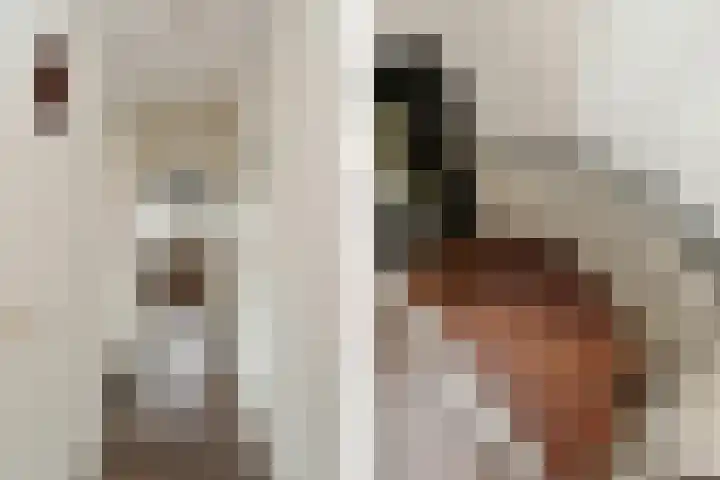 Apollovlinderlaan 27 Eindhoven thumbnail 20