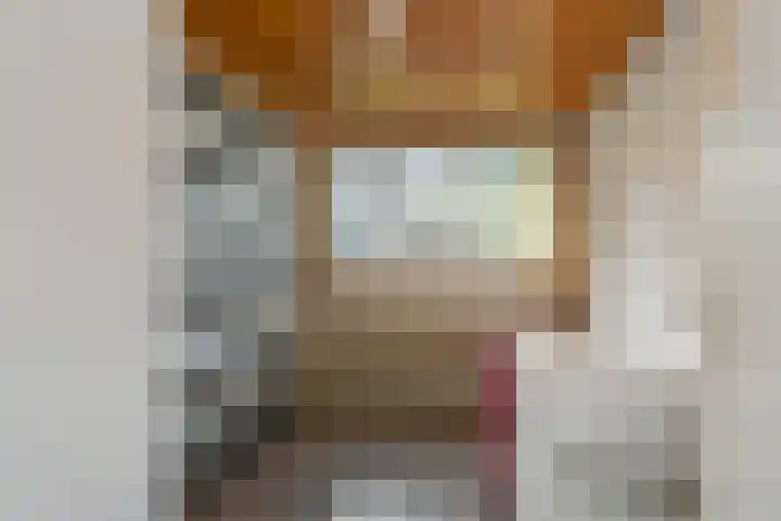 Apollovlinderlaan 27 Eindhoven thumbnail 24