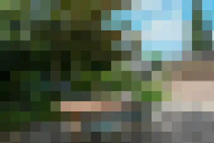 Apollovlinderlaan 27 Eindhoven thumbnail 29