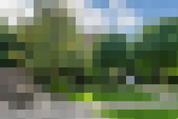 Apollovlinderlaan 27 Eindhoven thumbnail 30