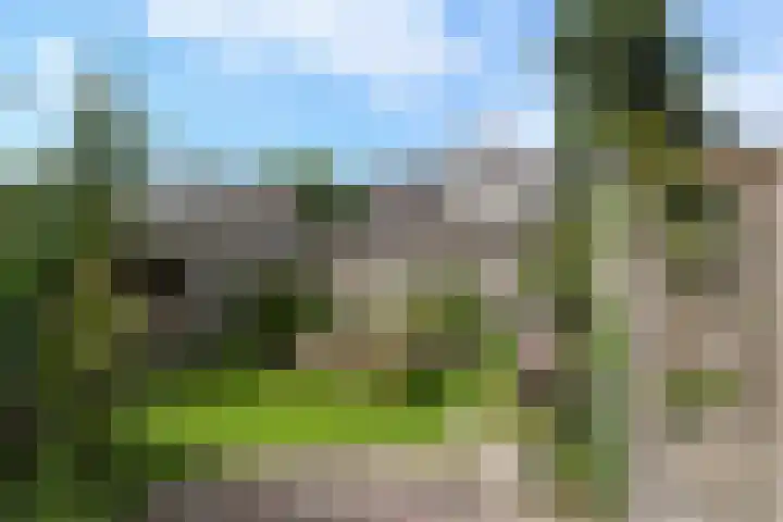 Apollovlinderlaan 27 Eindhoven thumbnail 32