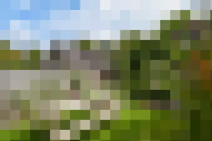 Apollovlinderlaan 27 Eindhoven thumbnail 33