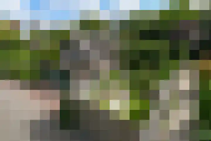 Apollovlinderlaan 27 Eindhoven thumbnail 34